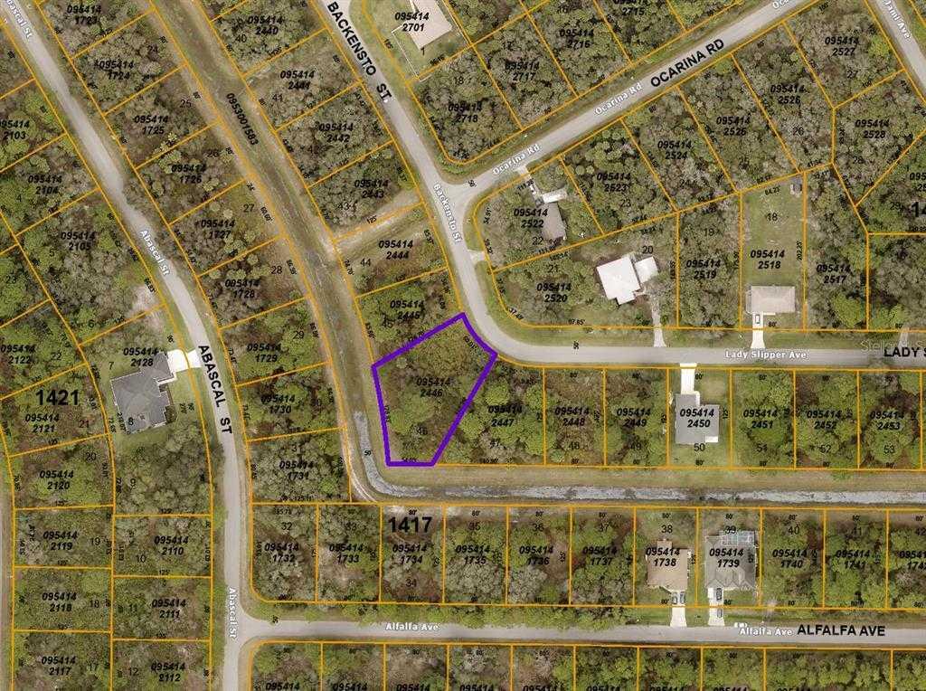 BACKENSTO, NORTH PORT, Vacant Land / Lot,  for sale, The Mount Dora Group 