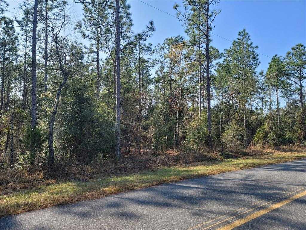 35TH, MORRISTON, Land,  for sale, The Mount Dora Group 