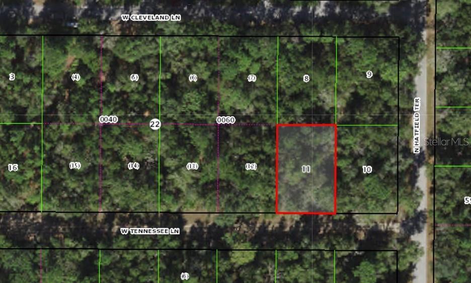 9565 TENNESSEE, CRYSTAL RIVER, Land,  for sale, The Mount Dora Group 