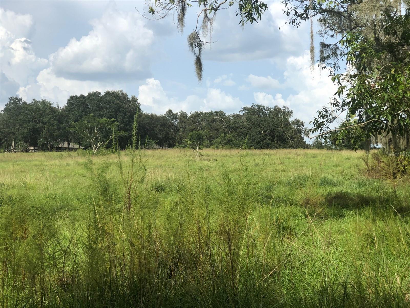 14140 BELLAMY BROTHERS, DADE CITY, Land,  for sale, The Mount Dora Group 