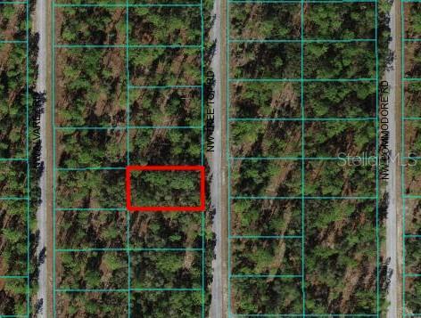 TREE TOP, DUNNELLON, Land,  for sale, The Mount Dora Group 