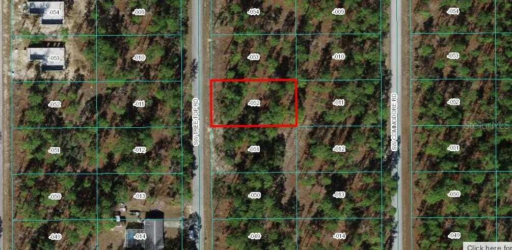 TREETOP, DUNNELLON, Land,  for sale, The Mount Dora Group 